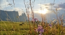 Seiser Alm / Alpe di Siusi